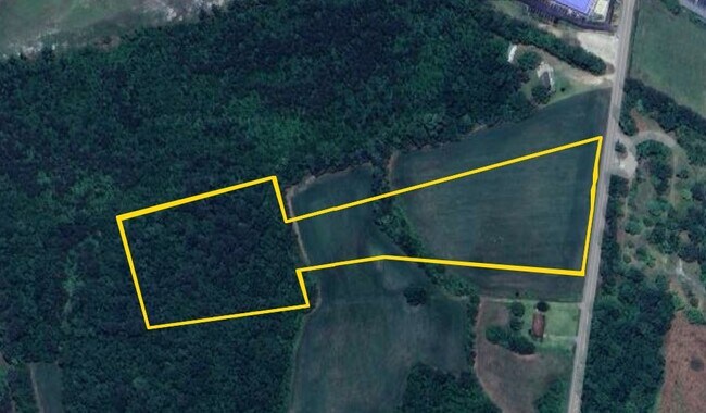 Plus de détails pour Raccoon Road, Manning, SC - Terrain à vendre