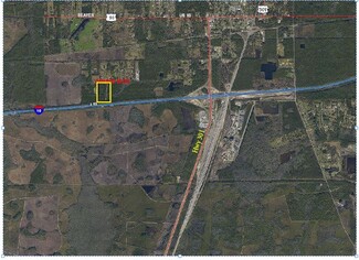 Plus de détails pour 17421 Brandy Branch Rd, Baldwin, FL - Terrain à vendre