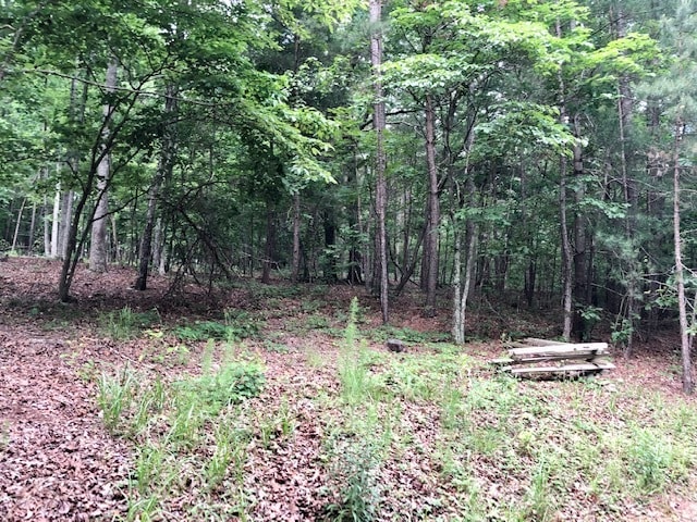 1212 Orchard Lake Drive, Clarkesville, GA for sale - Primary Photo - Image 1 of 4