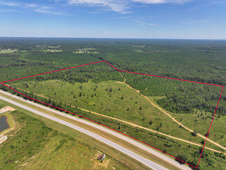 Plus de détails pour 0 U.S. HWY 59, Loxley, AL - Terrain à vendre