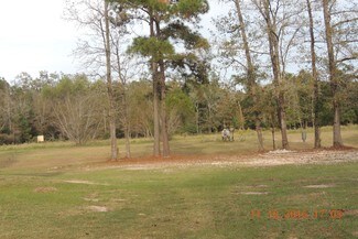 Plus de détails pour 6545 Fm 149 Rd, Montgomery, TX - Terrain à vendre