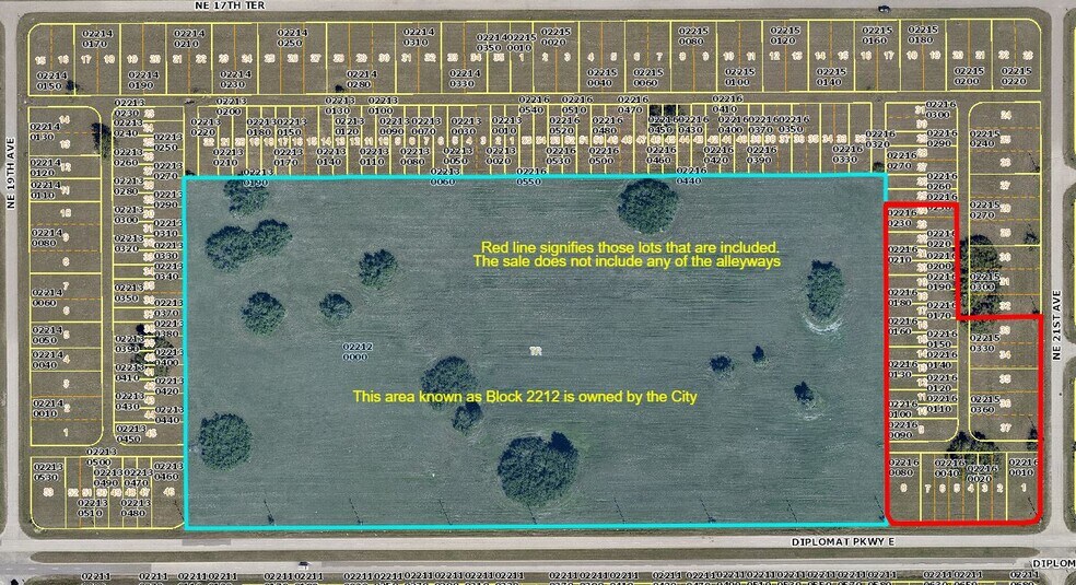 2099 Diplomat Parkway E, Cape Coral, FL à vendre - Photo du bâtiment - Image 1 de 2