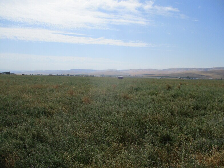 Thurber, Touchet, WA à vendre - Photo du bâtiment - Image 3 de 3