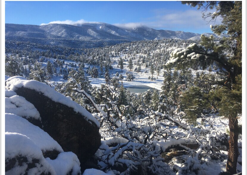 550 Eagle Rdg Ln, Big Bear Lake, CA à vendre - Photo du bâtiment - Image 2 de 35