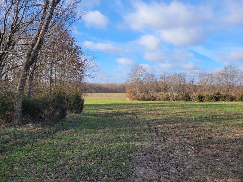 Bales Rd. (26.5+/- Acres), Middletown, MO à vendre - Autre - Image 2 de 20