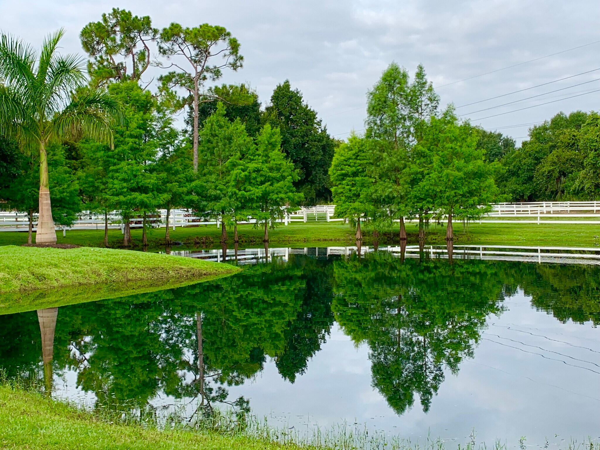 3800 Staley Rd, Fort Myers, FL à vendre Photo principale- Image 1 de 21