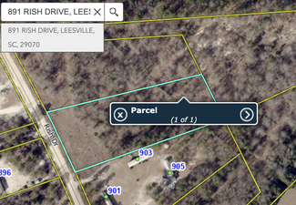 Plus de détails pour 891 Rish Dr, Leesville, SC - Terrain à vendre