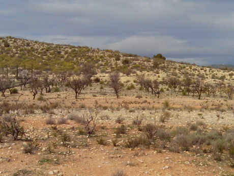 Land in Calasparra, Murcia for sale Site Plan- Image 1 of 5
