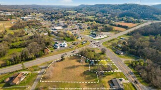 Plus de détails pour 16705 State Highway 58 S, Decatur, TN - Terrain à vendre