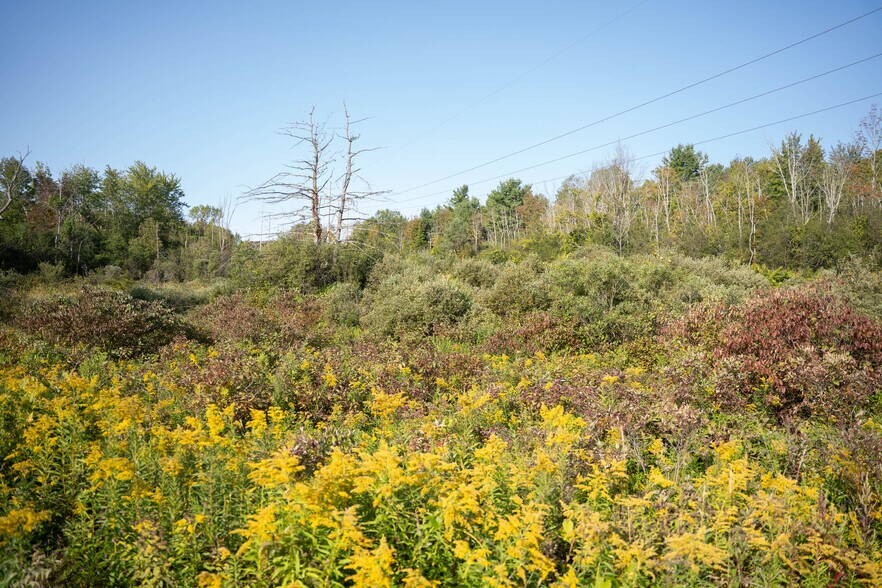 219 Mudge rd, Delanson, NY à vendre - Aérien - Image 3 de 50