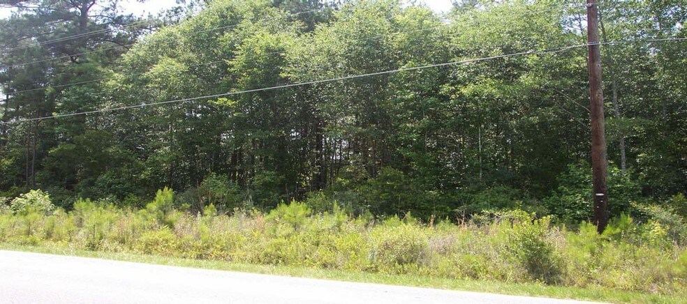 0 Mallard Rd, Summerville, SC for sale - Primary Photo - Image 1 of 9