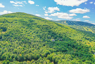 Plus de détails pour 55 Copper Ridge Trail, Windham, NY - Terrain à vendre