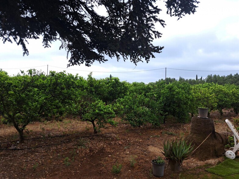 Carrer Devesa A, Vinaros, Costa Norte, 4, Vinaròs, Castellón for sale - Building Photo - Image 1 of 5