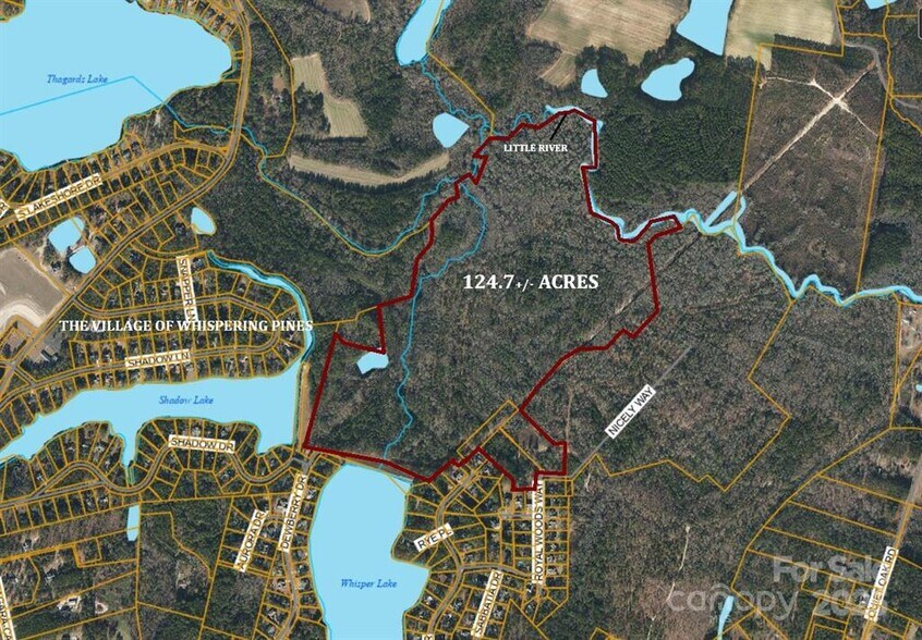GOLDENROD DR., Carthage, NC à vendre - Photo principale - Image 1 de 31