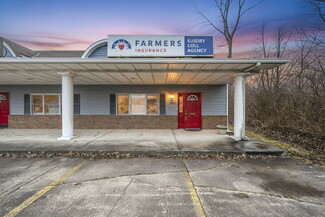 More details for 4020-4028 Colorado Ave, Sheffield, OH - Retail for Sale