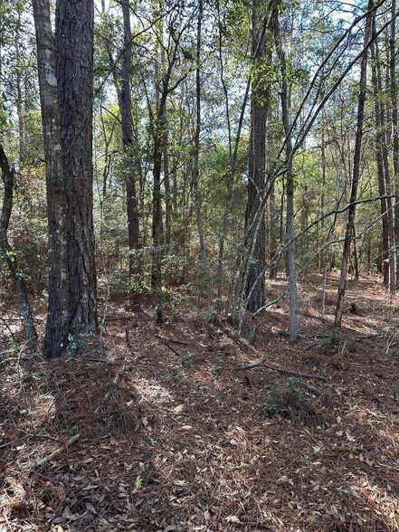 105 Pope St, Freeport, FL for sale - Building Photo - Image 2 of 6