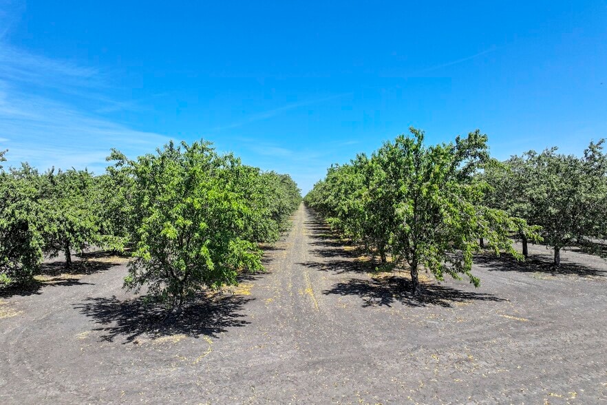 W. Dinuba avenue, San Joaquin, CA for sale - Building Photo - Image 2 of 12