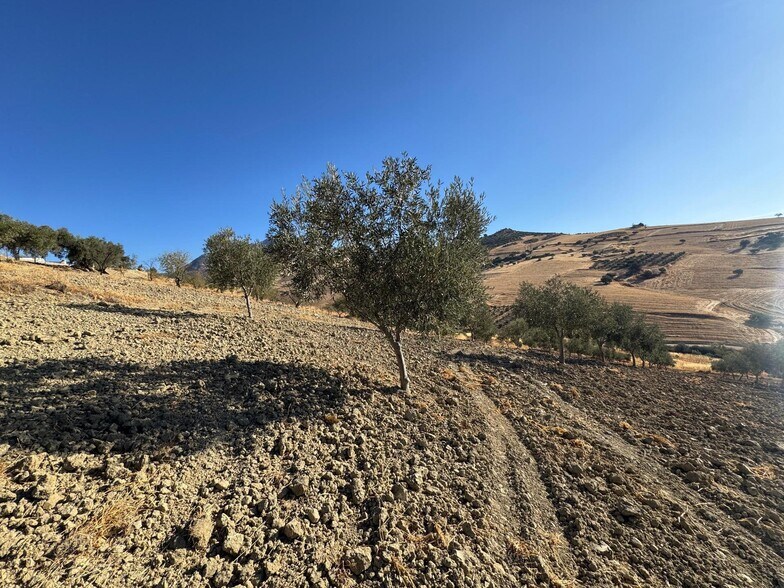 Terrain dans Casabermeja, Málaga à vendre - Plan de site - Image 2 de 13