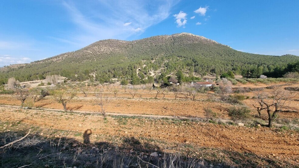 Polígono Industrial Marimingo, 16, Bullas, Murcia for sale - Building Photo - Image 2 of 12