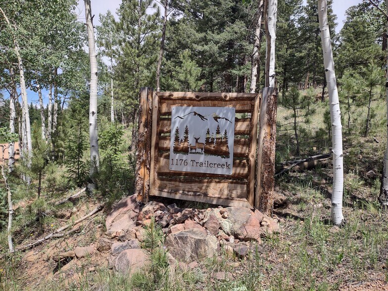 1176 Trail Creek Rd, Lake George, CO à vendre - Photo du bâtiment - Image 2 de 4
