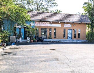 Plus de détails pour 1522 NE 4th Ave, Fort Lauderdale, FL - Commerce de détail à vendre