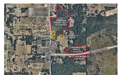 W Pipkin Rd & Countyline Rd, Lakeland, FL for sale Primary Photo- Image 1 of 1