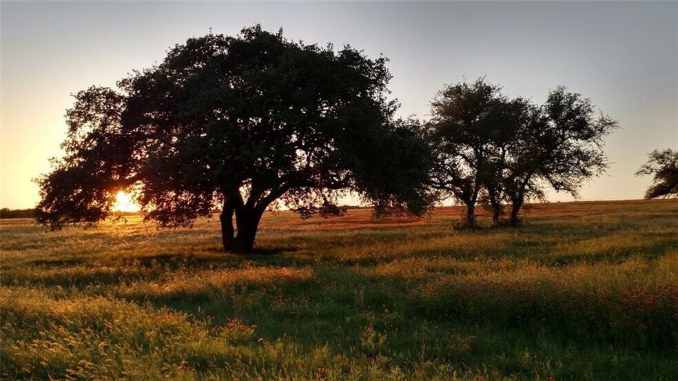 1087 Seawillow Rd, Lockhart, TX à vendre - Photo du bâtiment - Image 1 de 19