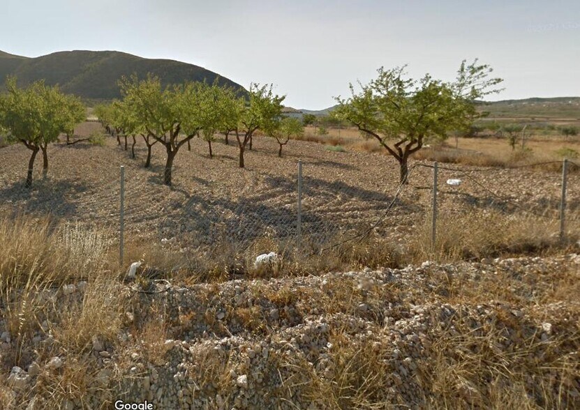 Terrain dans Orihuela, Alicante à vendre - Photo du bâtiment - Image 2 de 2