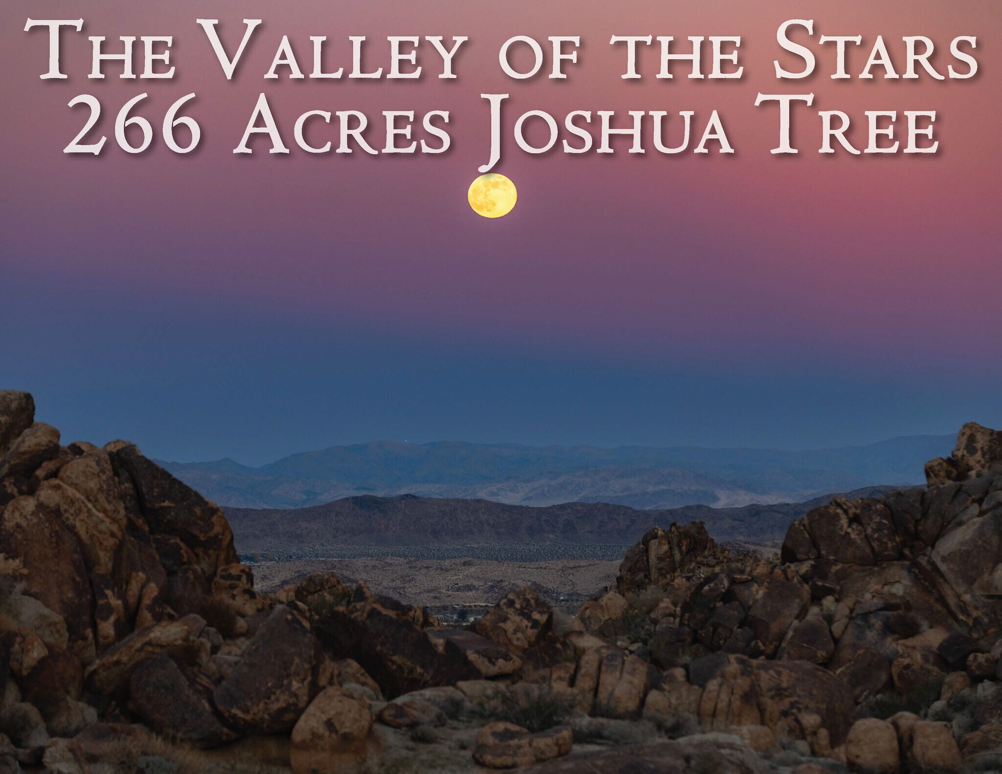 61271 Calle Los Amigos, Joshua Tree, CA à vendre Photo principale- Image 1 de 43