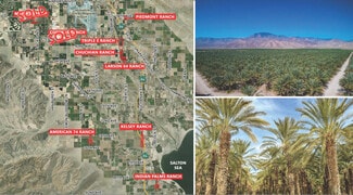 Plus de détails pour 856.47 AC Organic Date Ranches – Terrain à vendre