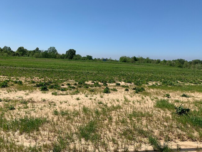 More details for 380 Highway 61 S, Natchez, MS - Land for Sale