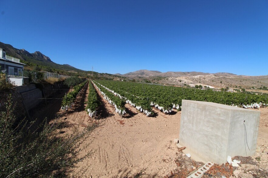 Terrain dans La Romana, Alicante à vendre - Photo du bâtiment - Image 2 de 3