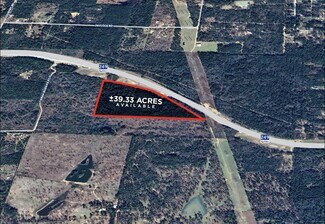 Plus de détails pour SH 249, Plantersville, TX - Terrain à vendre