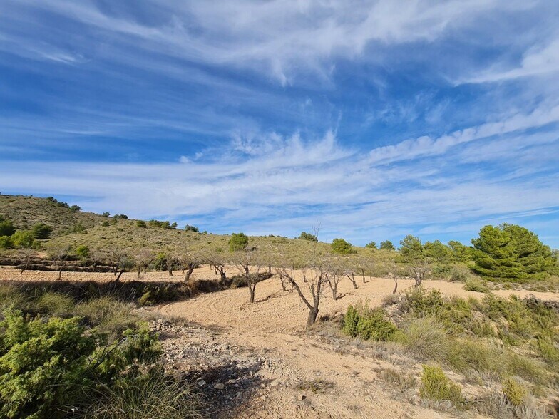Terrain dans Yecla, Murcia à vendre - Aérien - Image 3 de 10