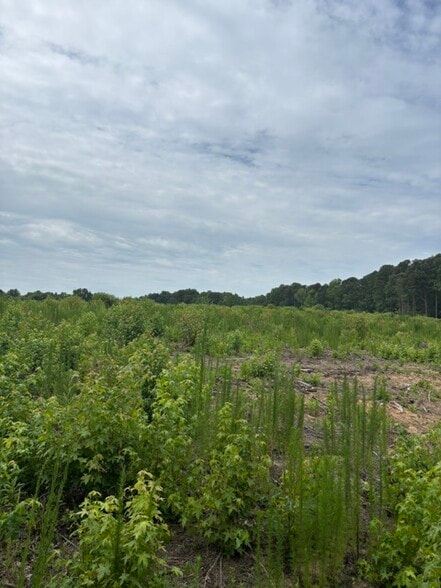 Mays Crossroads Rd, Youngsville, NC for sale - Building Photo - Image 3 of 10