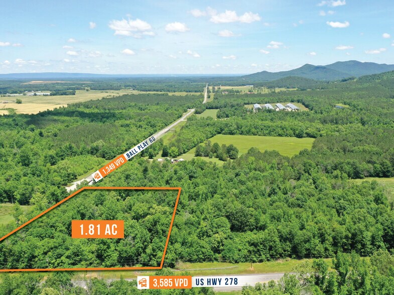 Across from 29 Ball Play Road, Piedmont, AL à vendre - Photo du bâtiment - Image 3 de 6