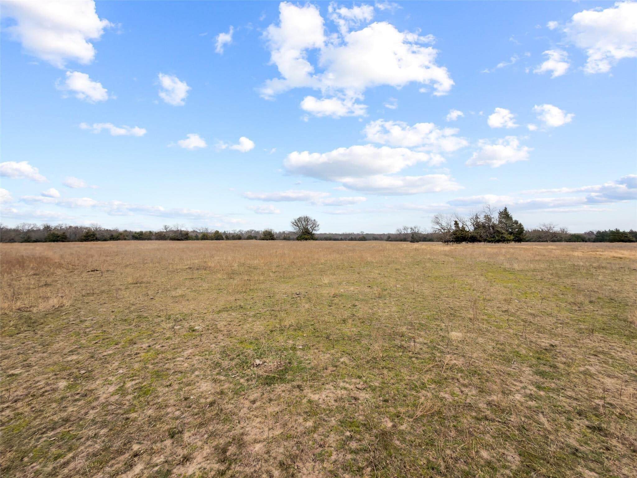 Tracts 1, 2, 3 County Road 1255, Savoy portfolio of 1 properties for sale on LoopNet.ca Primary Photo- Image 1 of 31