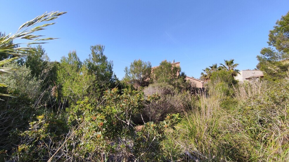 Land in Capdepera, Islas Baleares for sale - Primary Photo - Image 3 of 26
