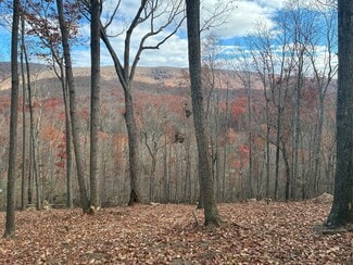 More details for 122 Flat Rock Rd, Waynesboro, VA - Land for Sale