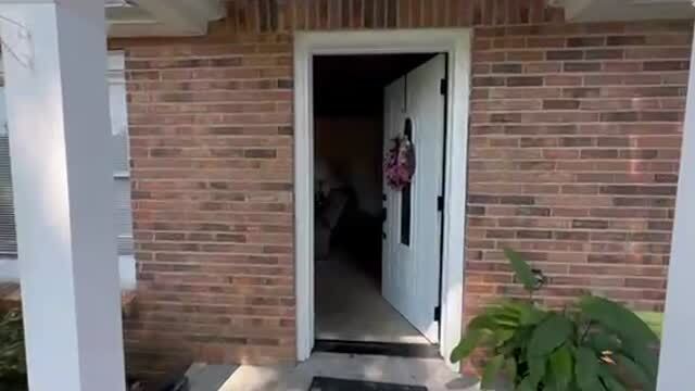 3872 Brayton Mountain Rd, Graysville, TN à vendre - Vidéo sur l’inscription commerciale - Image 3 de 95