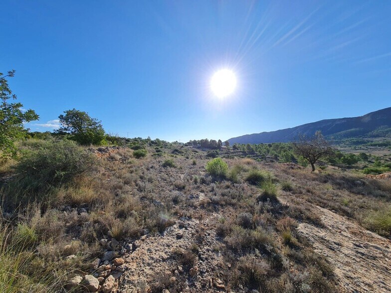 Terrain dans La Romana, Alicante à vendre - Aérien - Image 2 de 10