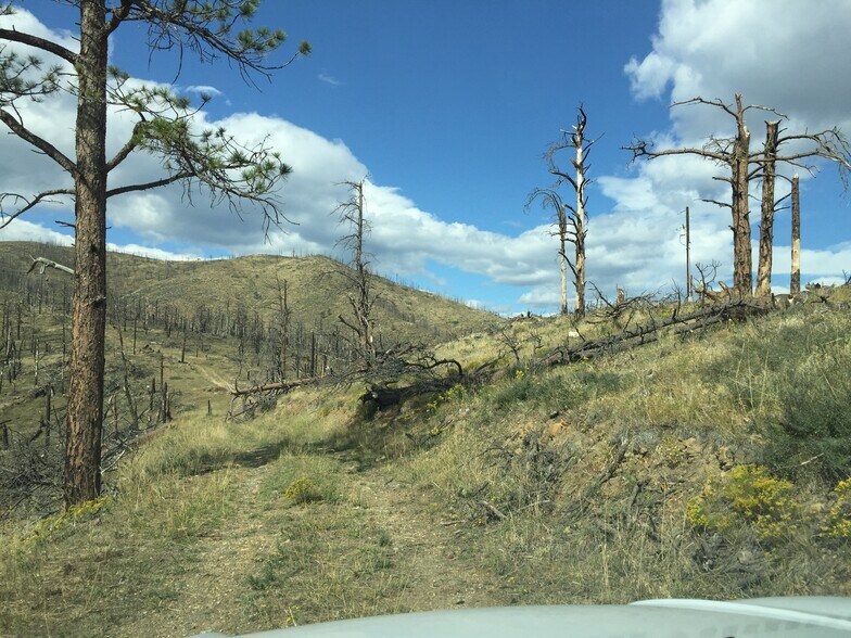 499 Helms Deep Rd, Bellvue, CO à vendre - Autre - Image 2 de 4