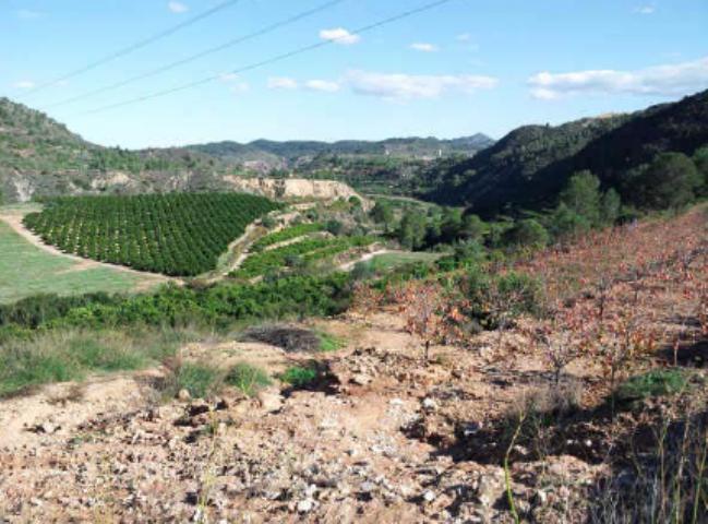 Olivares, Estubeny, Valencia à vendre Aérien- Image 1 de 2