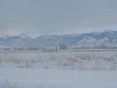 225 Laura Louise Ln, Bozeman, MT for sale - Primary Photo - Image 1 of 1