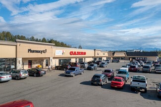 Plus de détails pour 591-695 E Parks Hwy, Wasilla, AK - Commerce de détail à louer