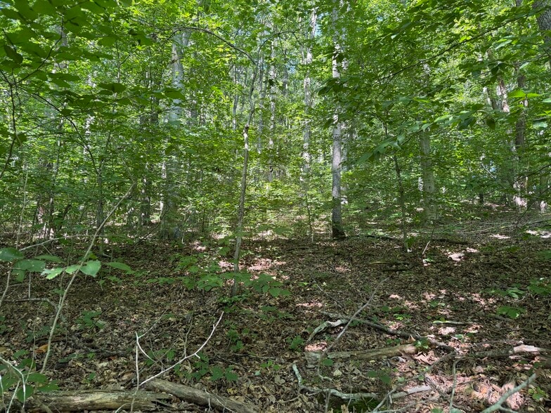 Rainbow Trl, Waverly, OH for sale - Other - Image 3 of 6