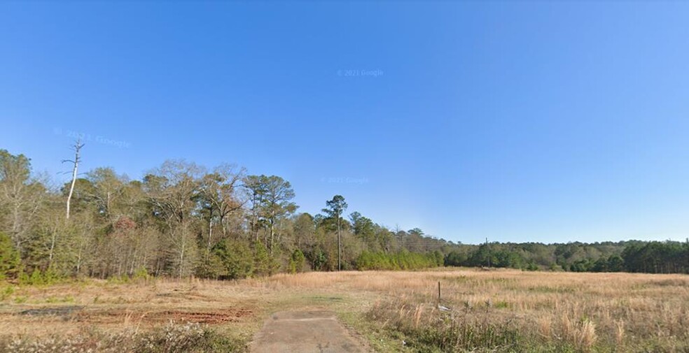 TBD US 280 hwy, Americus, GA for sale - Primary Photo - Image 1 of 1