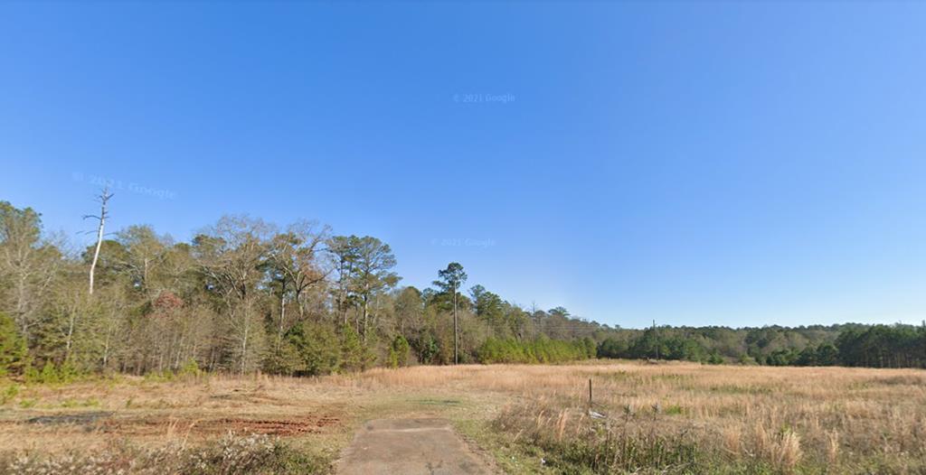 TBD US 280 hwy, Americus, GA for sale Primary Photo- Image 1 of 2