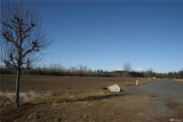 2160 Buchanan Loop, Ferndale, WA for sale - Primary Photo - Image 1 of 3