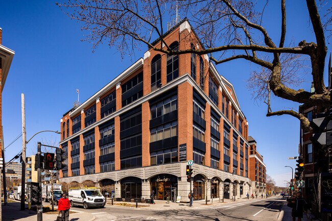 Plus de détails pour 201-211 Av Laurier E, Montréal, QC - Bureau à louer